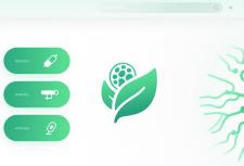 上海网站设计公司：赋能医药企业数字化品牌升级的创意伙伴